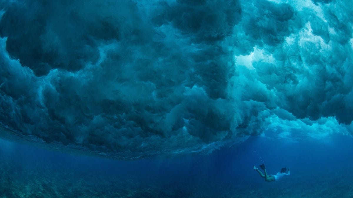 Cristina Mittermeier