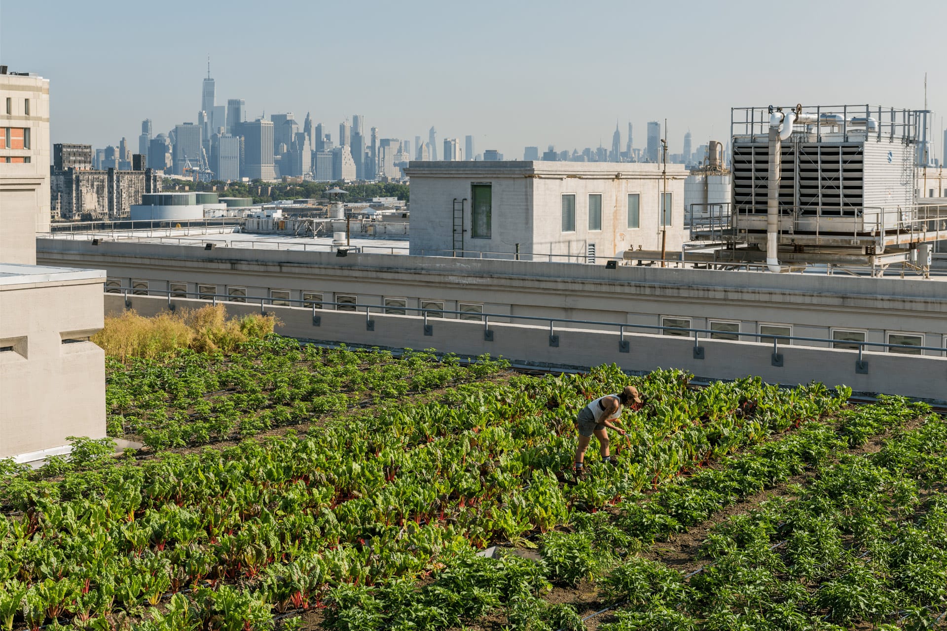 Brooklyn Grange. quietest places in New York