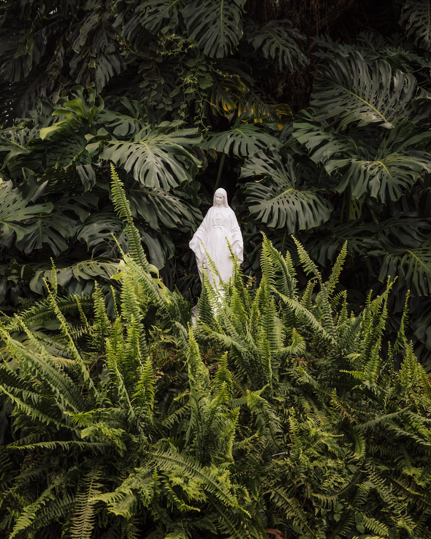 Green solutions regreen cities Colombia