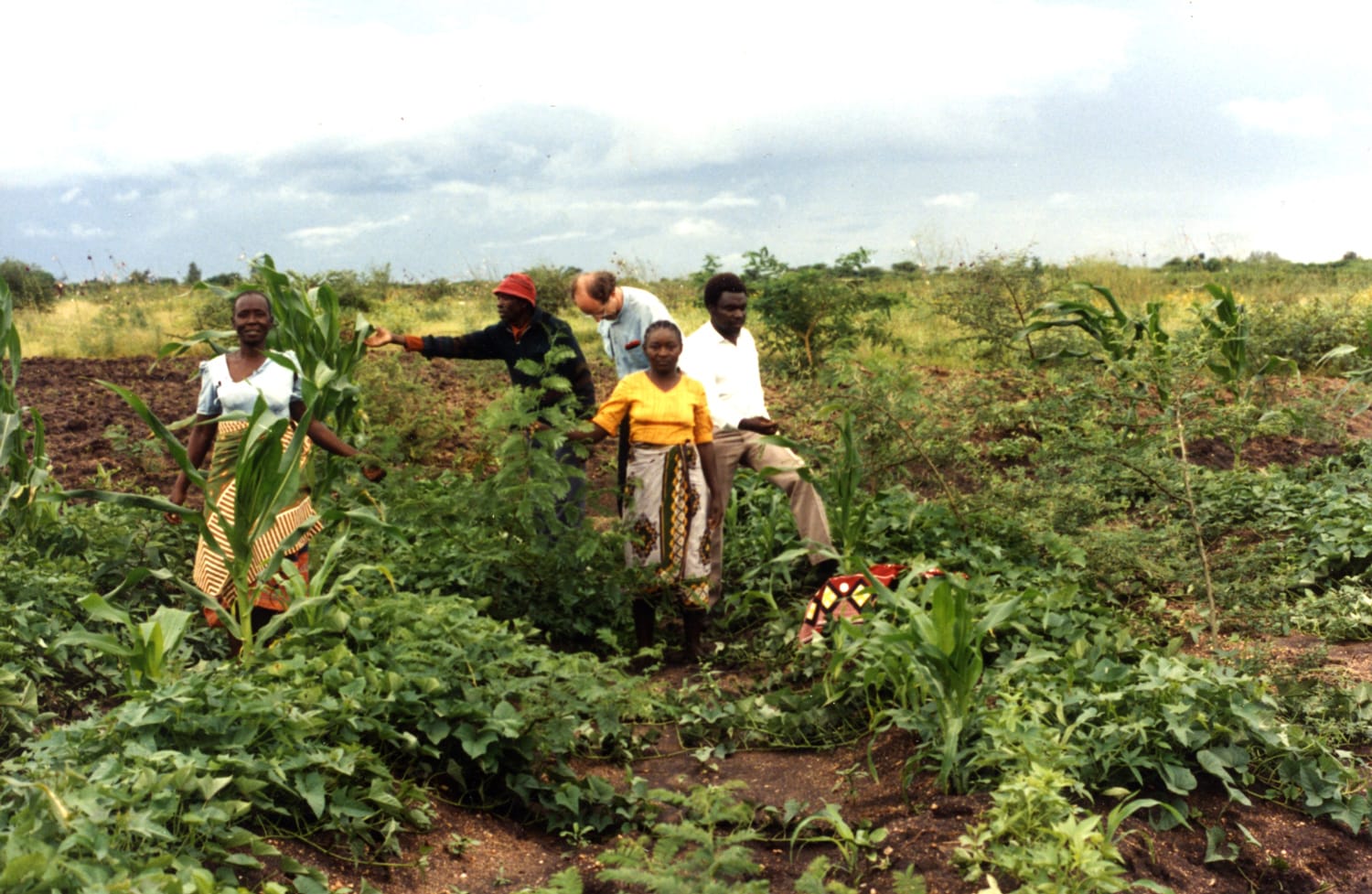 Green solutions Tanzania