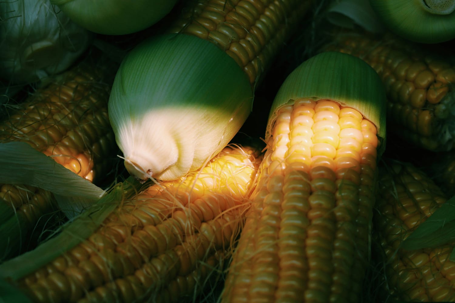 Green solutions three sisters usa canada