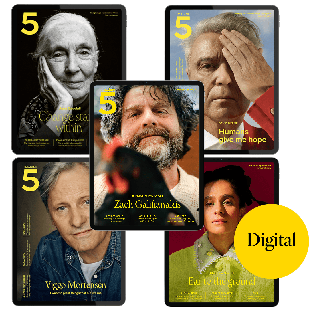 BUNDLE OF 5 MAGAZINES DIGITAL PACKSHOT