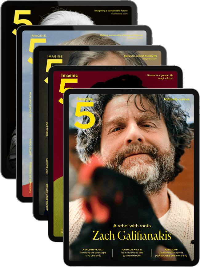 Digital collection – Vol. 1-5