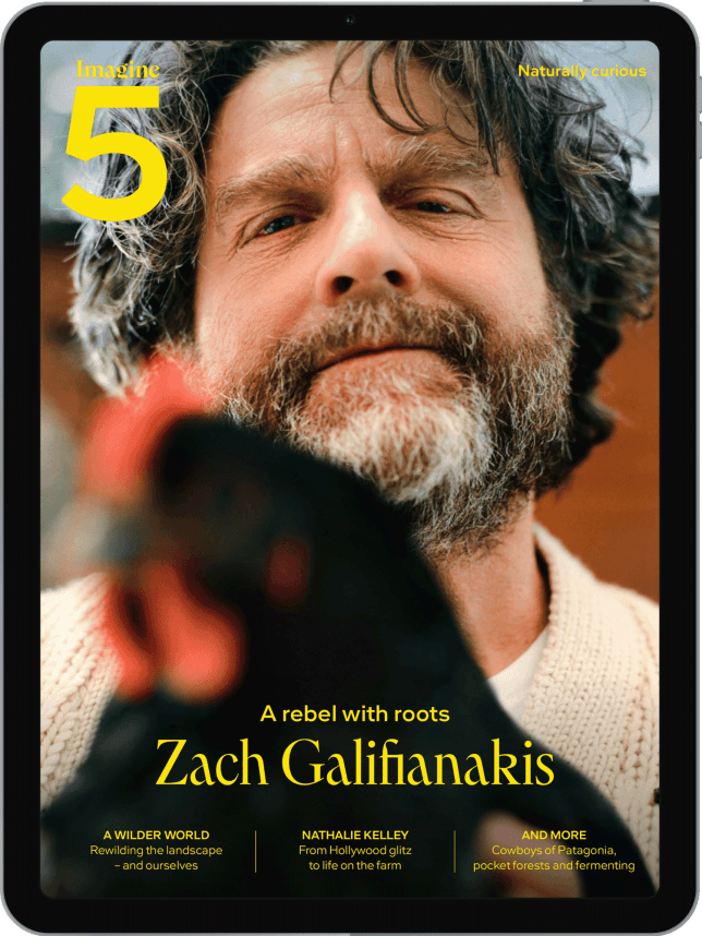 Volume 5 (Digital Edition)