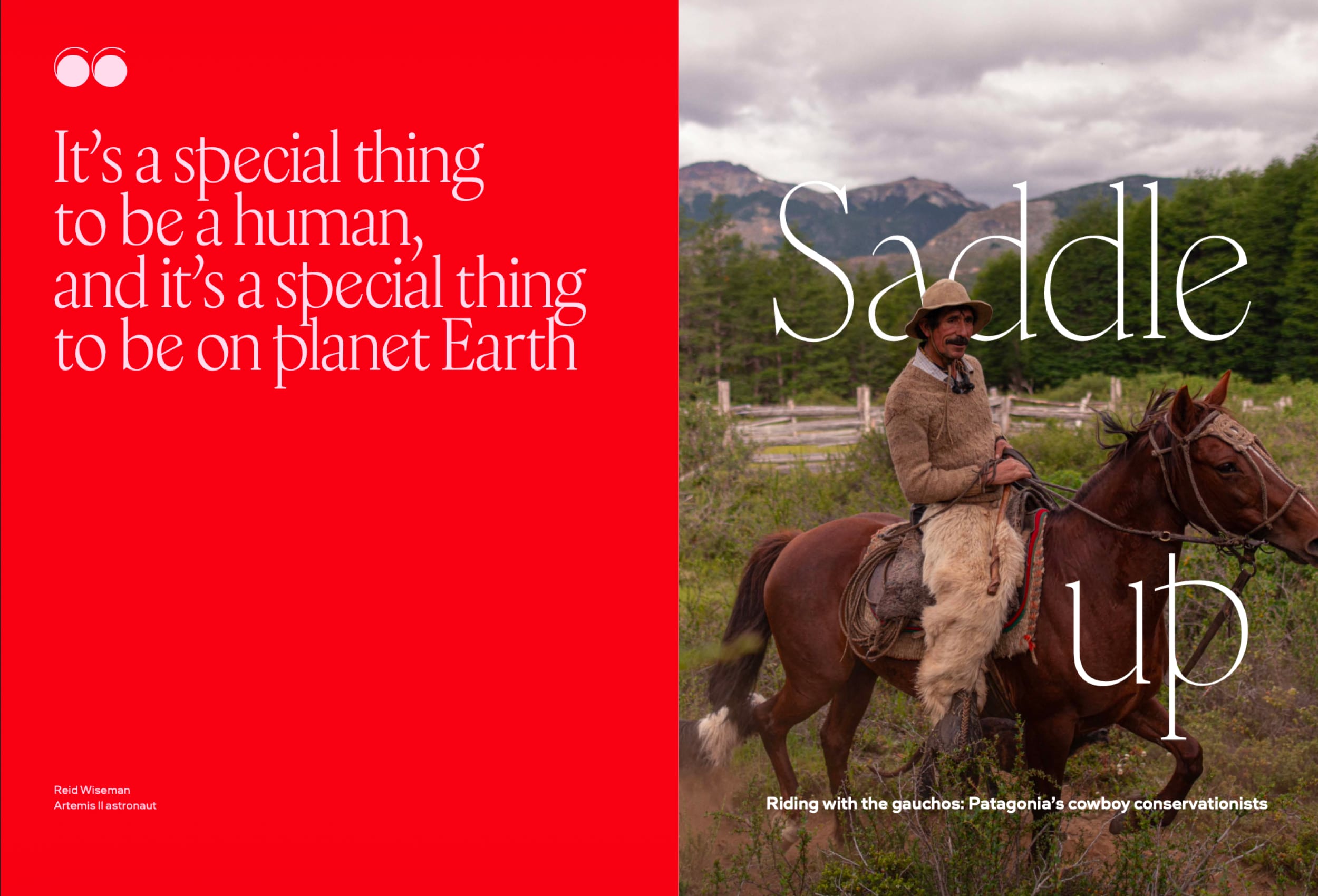 pagaonia gauchos volume 5 magazine page preview