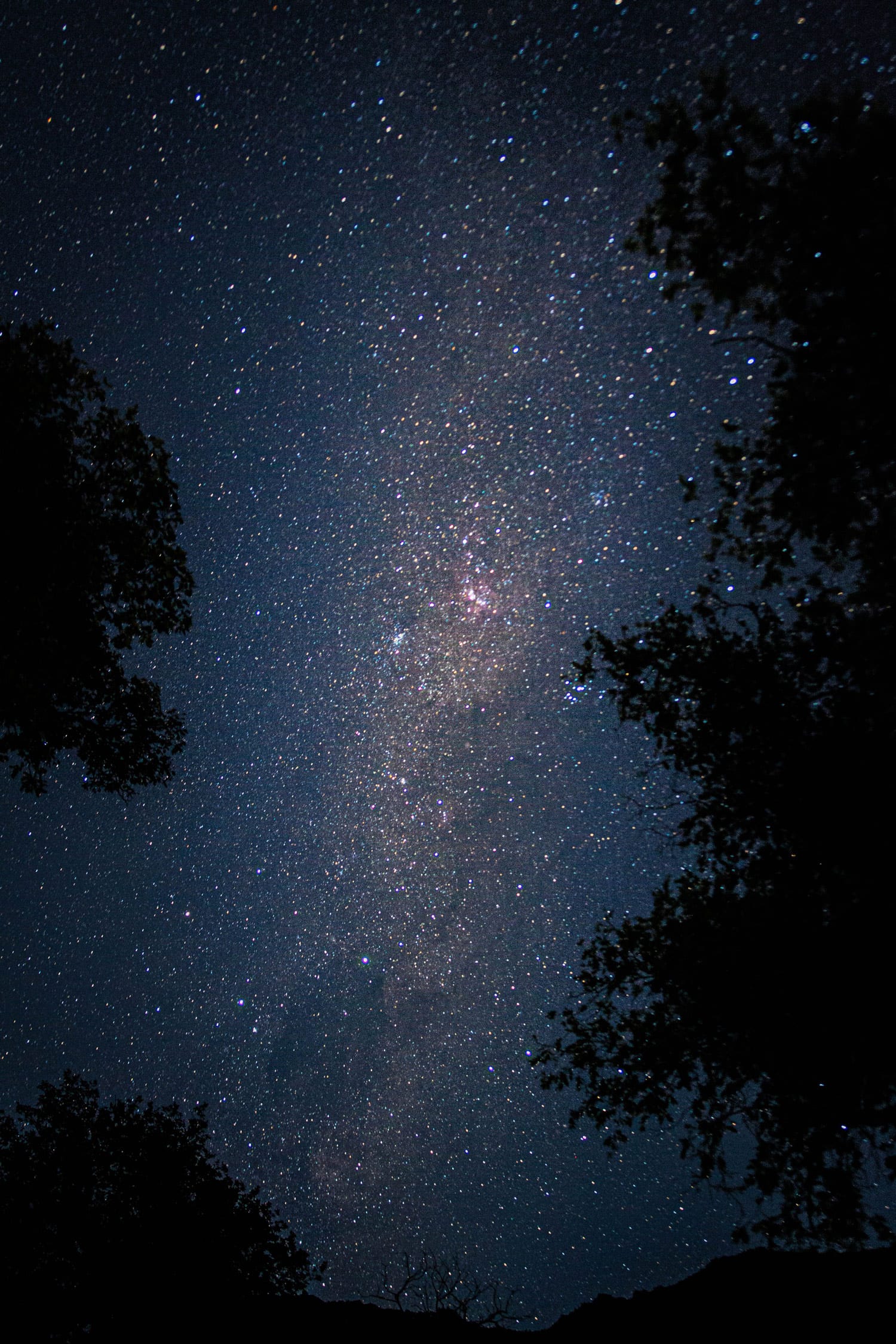 Nightfaring