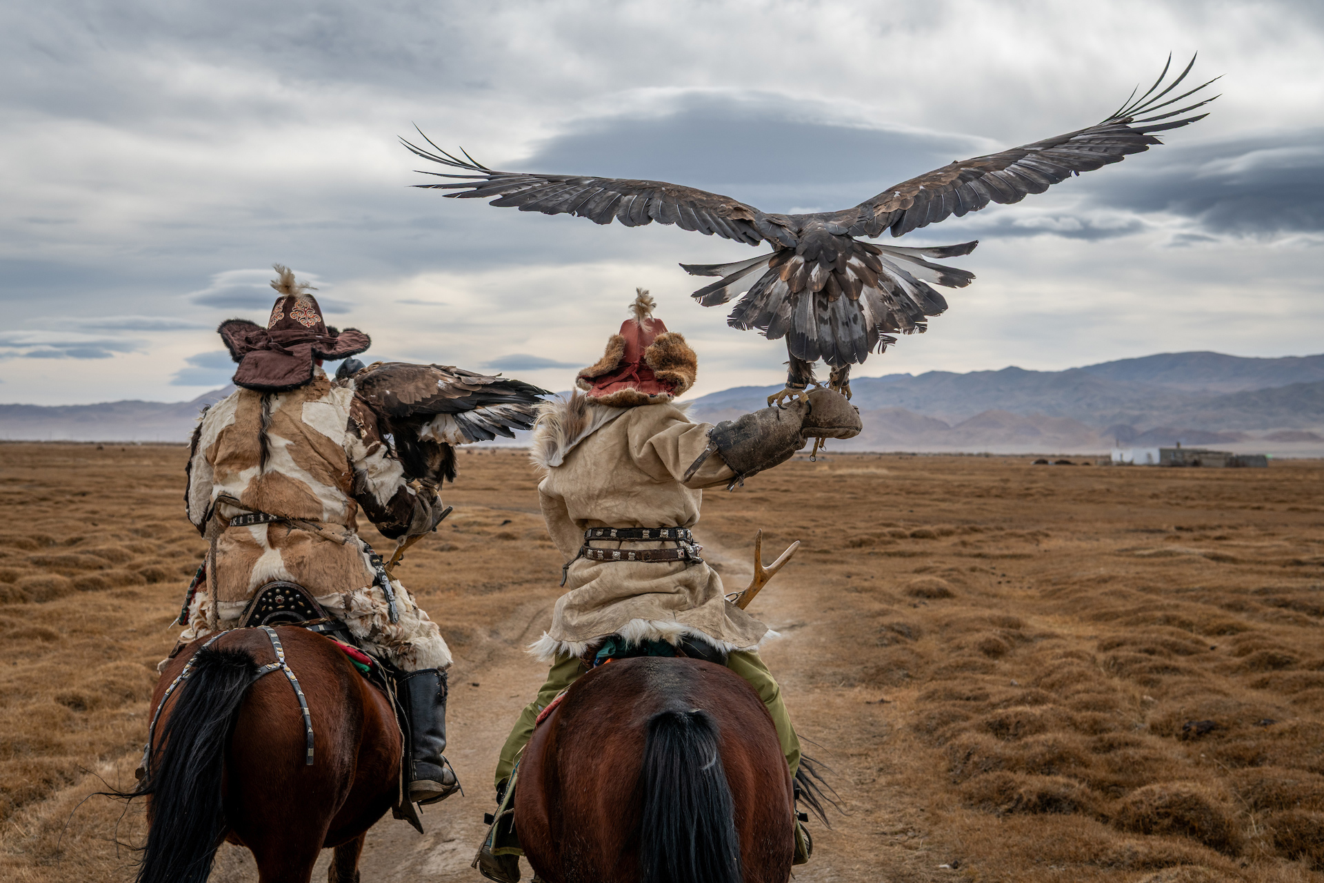Eagle hunters of Mongolia