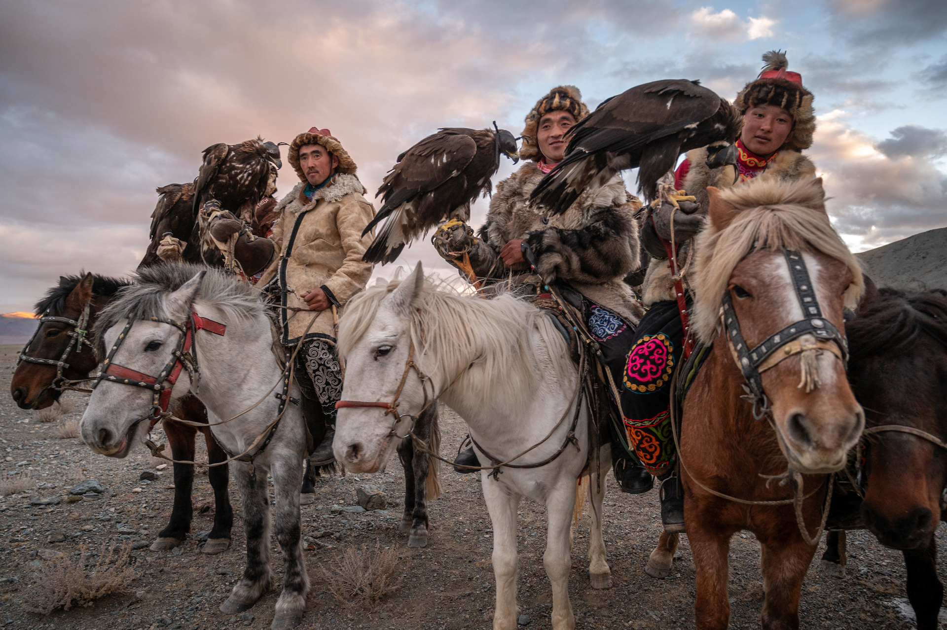 Eagle hunters of Mongolia