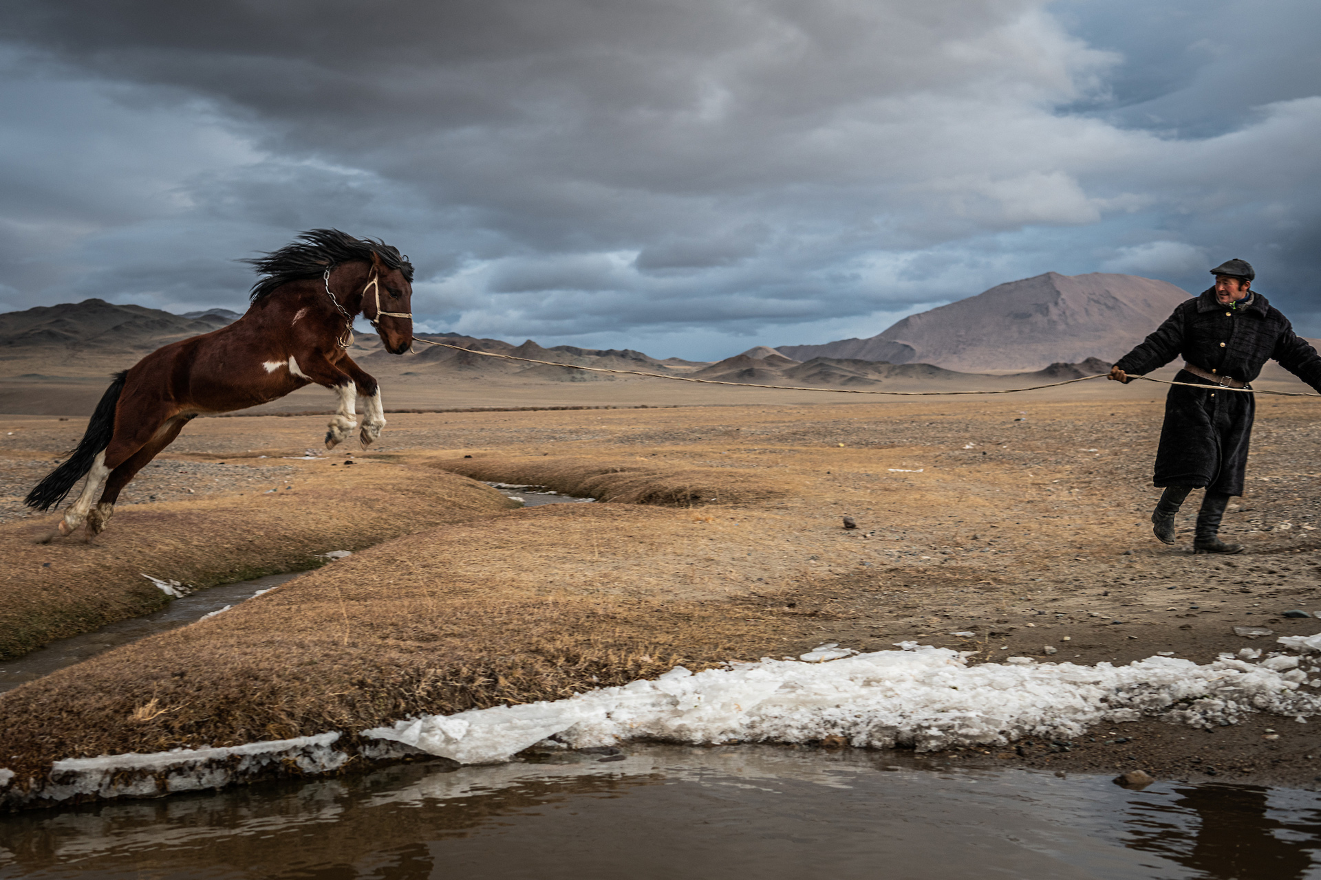 Eagle hunters of Mongolia