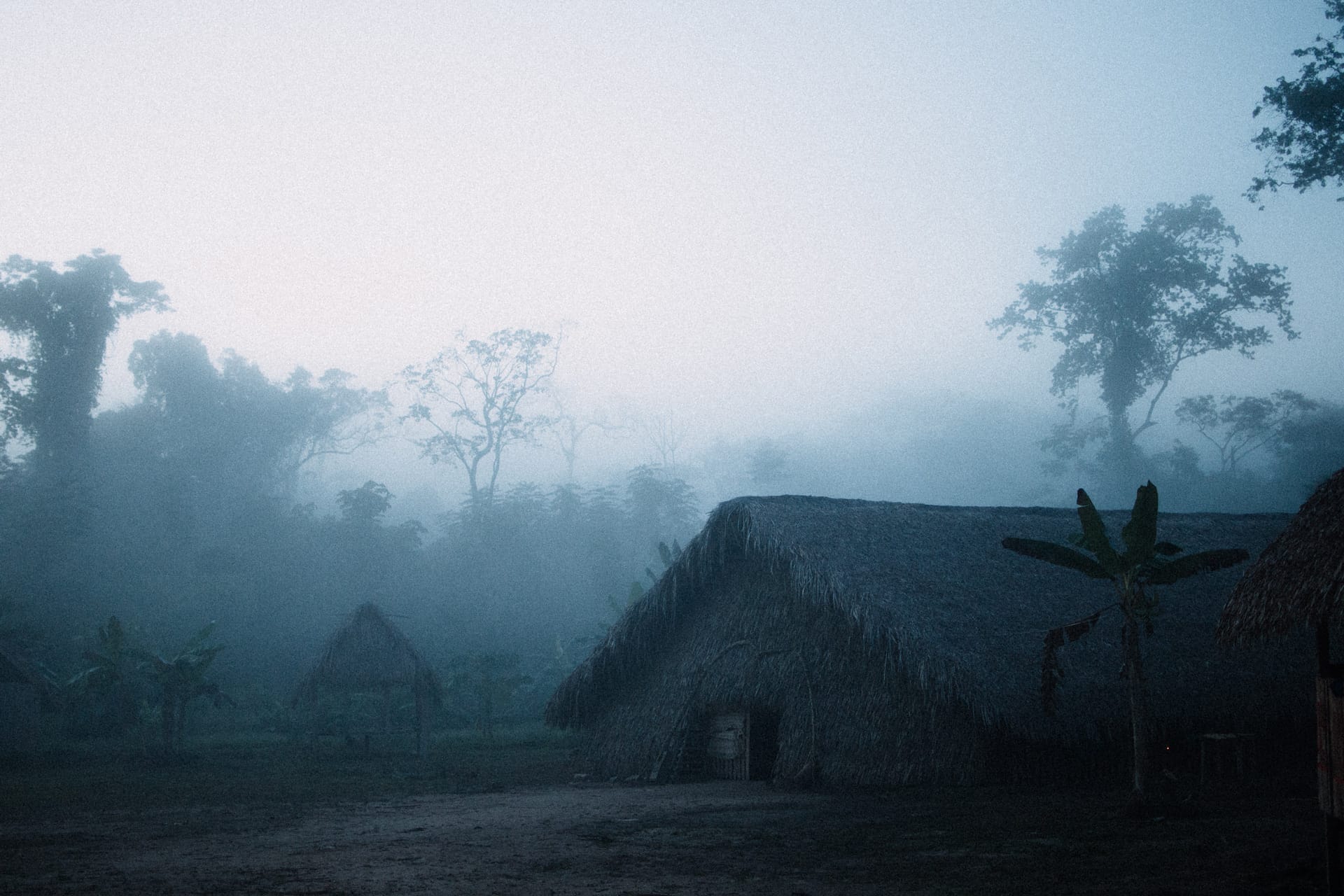 Ancestral knowledge