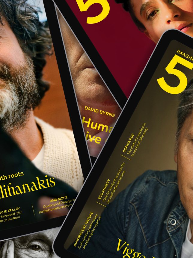 Digital magazine subscription (two per year)